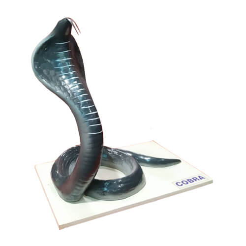 Cobra Snake Model