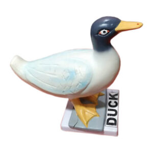 Model of Duck