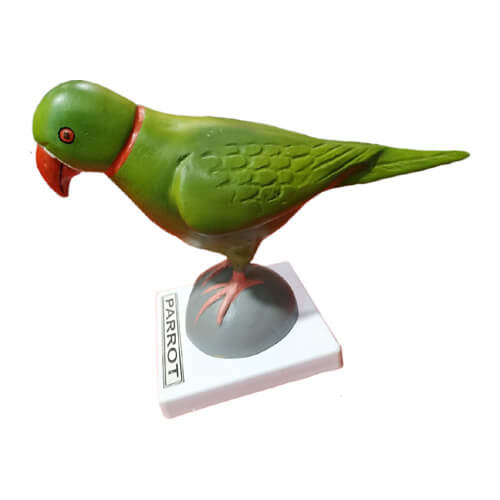 Model of Parrot