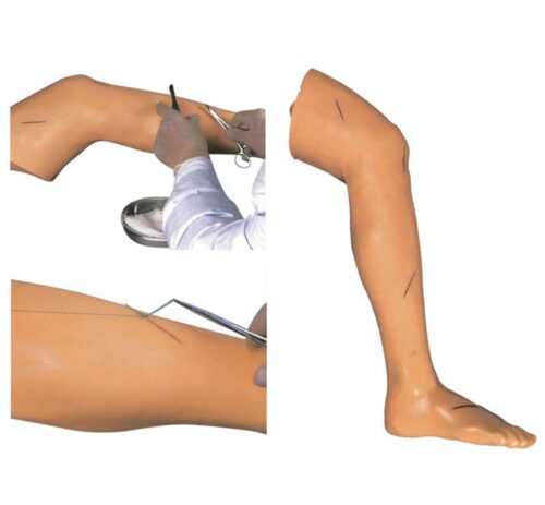 Advanced Suture Practice Leg