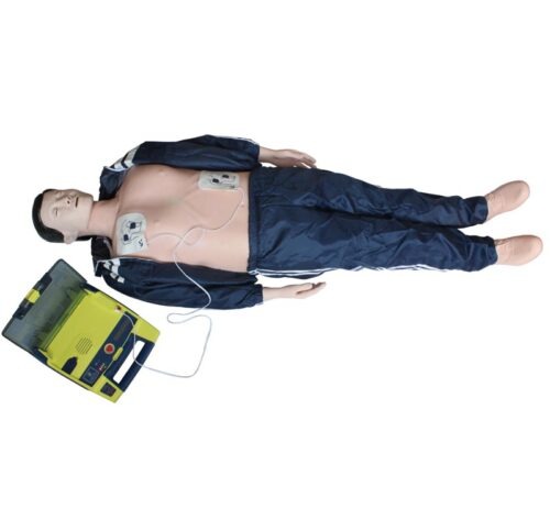 Basic Life Support, BLS Manikin (CPR & AED Simulator)Basic Life Support, BLS Manikin (CPR & AED Simulator)
