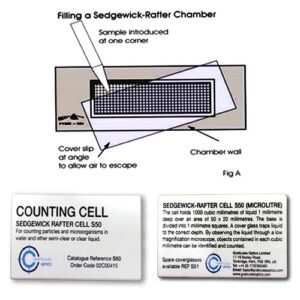 Original Sedgewick Rafter Counting Cell Chamber S50 -UK